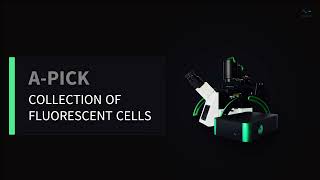 Collection of fluorescent cells with automated cell and tissue acquisition system ApicK [upl. by Gray]