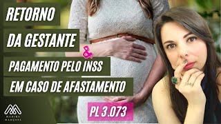 Alteração na lei do afastamento da gestante PL 30732021 [upl. by Kemme852]