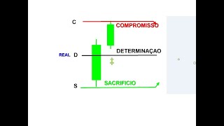 6X2 REAL OBSERVACAO DO MACRO [upl. by Samled]