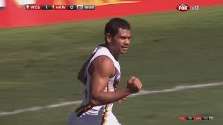 AFL 2013 Round 2  Hawthorn highlights vs West Coast [upl. by Gram365]