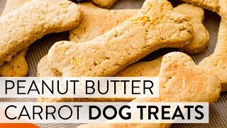 Soft Peanut Butter Carrot Dog Treats  Sallys Baking Recipes [upl. by Ennylcaj513]