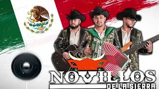 Novillos De La Sierra 2024  Grandes Exitos  Puros Corridos Mix  Las Mas Llegadoras [upl. by Peskoff740]