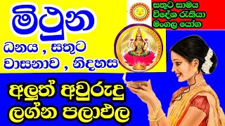 ලග්න පලාඵල  New year horoscope predictions  Gemini horoscope predictions  Awurudu nakath [upl. by Aimac]