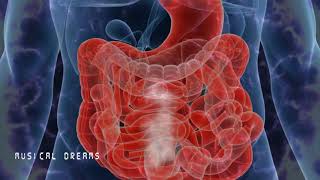 Music For Constipation Relief8D AUDIO Stomach amp Intestine Treatment  Digestion Enhancement [upl. by Atiuqram]