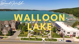 Walloon Lake Drone Tour  Brook Walsh Real Estate [upl. by Yasibit947]