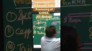 Transcription in Eukaryotic Cell andProcessing of hnRNA Biology XII ampNEET [upl. by Areem]