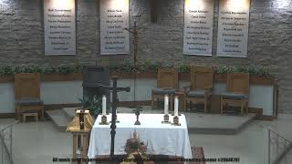 Holy Mass  For the Conferral of Baptism 111624 [upl. by Echikson]