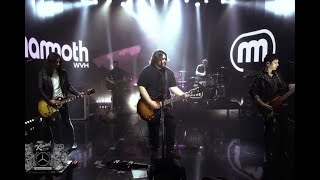 Mammoth WVH Performs Eddie Van Halen Tribute Distance on Kimmel [upl. by Rois]