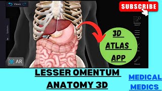 Lesser Omentum  Anatomy of Lesser Omentum 3d  Abdomen Anatomy [upl. by Gnuy360]