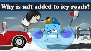 Why is salt added to icy roads  aumsum kids science education children [upl. by Iveksarap337]