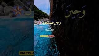 Al Quran verses islamicstatus islamicvideo youtubeshorts ytshorts motivation arabic urdu [upl. by Wehtam639]