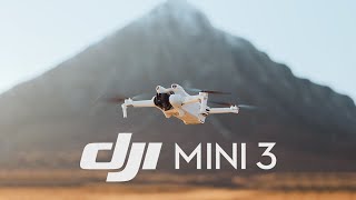 Meet DJI Mini 3 [upl. by Neeleuqcaj]