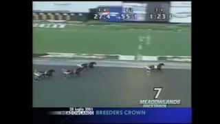 Varenne Breeders Crown Open Trot 2001 [upl. by Applegate337]