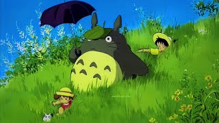 MEU AMIGO TOTORO [upl. by Leibman]