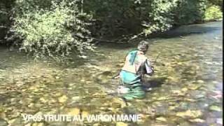 Techniques de Pêche à la Truite au Vairon Manié [upl. by Beulah]