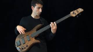 Damian Coccio  Fodera Monarch Standard Fretless Bass Solo [upl. by Namar]