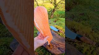 SALMON cooked and smoked over fireoutdoorcooking cooking asmr food chef salmon [upl. by Attey]