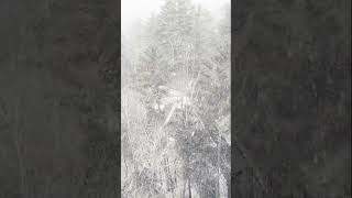 First Snow Fall  Turned Into The Path To Land snow dji mountains [upl. by Aerol]