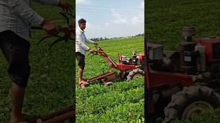 Power Tiller 🔥 nano tractor 🚜 Farming Short agriculture satisfying shot farming farmlife farm [upl. by Walston]