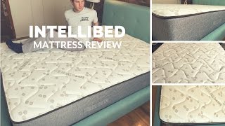 Intellibed Mattress Review [upl. by Gristede]