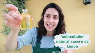 MIKADO CASERO y 3 aromas diferentes con ACEITES ESENCIALES [upl. by Roseann]