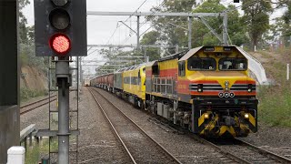 Australian streamliner diesel locomotive CLF1  Thornleigh  November 2020 [upl. by Nairrod788]