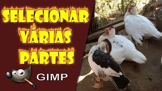 Selecionar Várias Partes de uma Imagem no Gimp [upl. by Giacopo206]