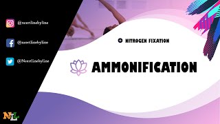 AMMONIFICATION  Nitrogen Metabolism Part 1 English [upl. by Nesila135]