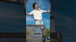 Sharukh Khan Fanssharukhkhan bollywood movie trending ytshots shorts video [upl. by Sall]