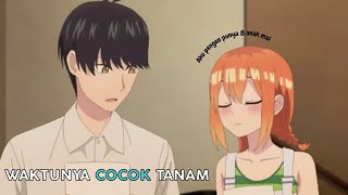 gotoubun no hanayome honeymoon arc Trailer [upl. by Haral]