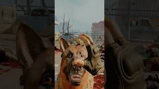 Buddys A Good Name 🐕‍🦺 Arizona Sunshine PSVR2 shorts [upl. by Netniuq]