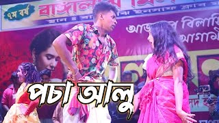 পচা আলু l Pocha Alu l Palli Gram TV । Official Song । Bangaljhi Milon Mela [upl. by Isyad]