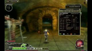 Dungeons and Dragons Online Gameplay  First Look HD [upl. by Aleemaj]