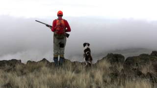 Foggy Chukar Hunting [upl. by Nahtonoj388]