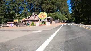 Shrine Drive Thru Tree Avenue of the Giants Auto Park Myers Flat California 13 August 2024 NGH [upl. by Laundes]