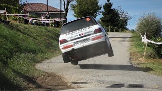 Best of Renault Clio Williams GrA  RALLY TRIBUTE VOL7 [upl. by Danila]