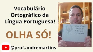 Você conhece mesmo o VOCABULÁRIO ORTOGRÁFICO DA LÍNGUA PORTUGUESA [upl. by Eido955]