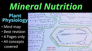 Mineral Nutrition Class 11 Plant physiology NEET AIIMS Mind map One shot video Best Notes amp revision [upl. by Sagerman346]