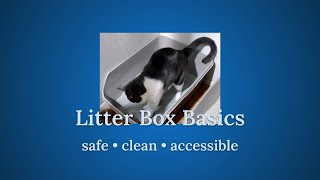 Litter Box Basics [upl. by Sunderland430]