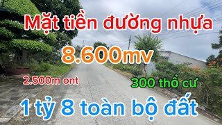 Mặt nhựa 300 thổ cư gần trường học cấp 123 chủ đất đang trồng cỏ có 1 biệt thự có [upl. by Aikat]