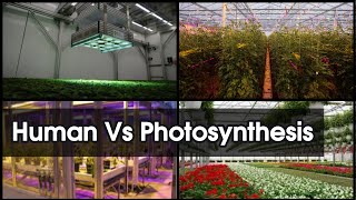 Impact of human activities on photosynthesis  Human Vs Photosynthesis [upl. by Odlabso]