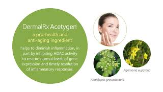 Promote Skin Health and Function with DermalRx® Acetygen® [upl. by Eninnej]