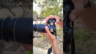 75300mm Lens Without Zoom Photo Test dslr camera canon canonlens lens photography [upl. by Kier191]