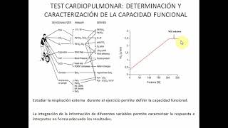 Respuesta CardioRespiratoria Ejercicio Yanina Zócalo Parte 2 [upl. by Cuhp427]