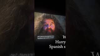 Watching Harry Potter with Spanish subtitles ❤️🇮🇪 [upl. by Flint]