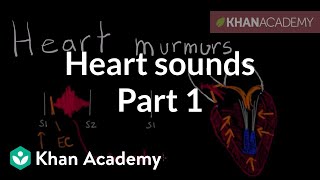 Systolic murmurs diastolic murmurs and extra heart sounds  Part 1  NCLEXRN  Khan Academy [upl. by Kravits]