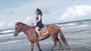 sunrise riding at seminyak beach [upl. by Erreit]