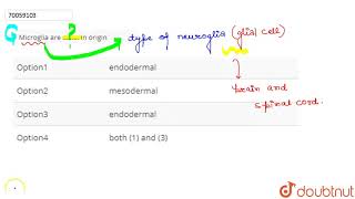 Microglia are ……… in origin [upl. by Meikah]