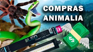 Mis 💸compras💸 ANIMALIA OTOÑO 2024 🕷️🐍 [upl. by Ivan822]