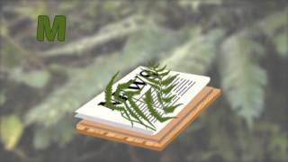 Episode 4  Preserving Plant Specimens [upl. by Nospmoht321]